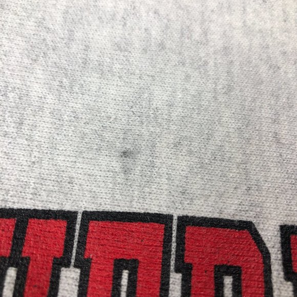 Champion Reverse Weave Northern Illinois Sweatshirt Adult Medium Grey Crewneck - Picture 5 of 14